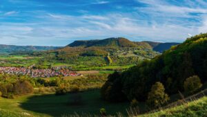 Gesunde Hühner erkennen – Tipps aus der Praxis